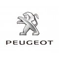 Kaca Mobil Peugeot all series / all type